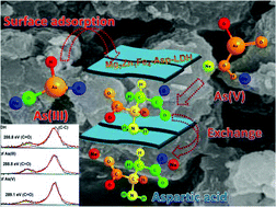 Graphical abstract: Enhanced adsorption performance of aspartic acid intercalated Mg-Zn-Fe-LDH materials for arsenite