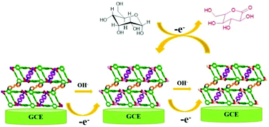 Graphical abstract: Enhanced glucose sensing based on a novel composite CoII-MOF/Acb modified electrode
