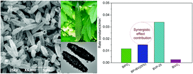 Graphical abstract: Green synthesis of balsam pear-shaped BiVO4/BiPO4 nanocomposite for degradation of organic dye and antibiotic metronidazole