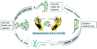 Graphical abstract: Regulation of multi-factors (tail/loop/link/ions) for G-quadruplex enantioselectivity of Δ- and Λ- [Ru(bpy)2(dppz-idzo)]2+