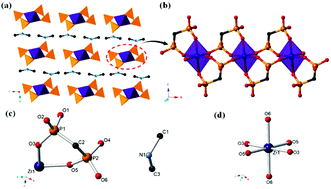 Graphical abstract: An ingenious one-dimensional zirconium phosphonate with efficient strontium exchange capability and moderate proton conductivity