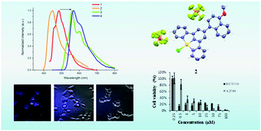Graphical abstract: Spectroscopy, electrochemistry and antiproliferative properties of Au(iii), Pt(ii) and Cu(ii) complexes bearing modified 2,2′:6′,2′′-terpyridine ligands