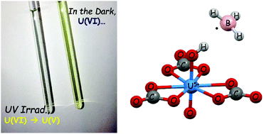 Graphical abstract: The oxidation of borohydrides by photoexcited [UO2(CO3)3]4−