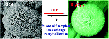 Graphical abstract: Lantern-like bismuth oxyiodide embedded typha-based carbon via in situ self-template and ion exchange–recrystallization for high-performance photocatalysis