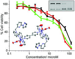 Graphical abstract: Synthesis, characterization, and cytotoxic properties of mono- and di-nuclear cobalt(ii)-polypyridyl complexes