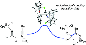 Graphical abstract: Understanding titanium-catalysed radical–radical reactions: a DFT study unravels the complex kinetics of ketone–nitrile couplings
