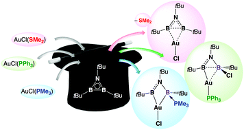 Graphical abstract: Facile reactions of gold(i) complexes with tri(tert-butyl)azadiboriridine
