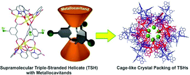 Graphical abstract: Cage-like crystal packing through metallocavitands within a cobalt cluster-based supramolecular assembly