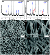 Graphical abstract: Co3O4 nanowire@NiO nanosheet arrays for high performance asymmetric supercapacitors
