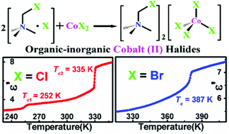 Graphical abstract: High-temperature reversible phase transitions and exceptional dielectric anomalies in cobalt(ii) based ionic crystals: [Me3NCH2X]2[CoX4] (X = Cl and Br)