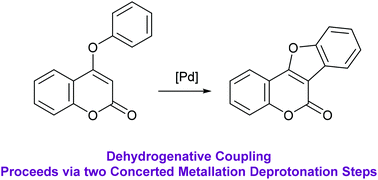 Graphical abstract: Mechanistic studies on the palladium-catalyzed cross-dehydrogenative coupling of 4-phenoxy-2-coumarins: experimental and computational insights