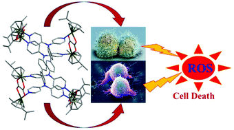 Graphical abstract: Coordination-driven self-assembly of ruthenium(ii) architectures: synthesis, characterization and cytotoxicity studies