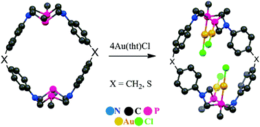 Graphical abstract: The first representatives of tetranuclear gold(i) complexes of P,N-containing cyclophanes