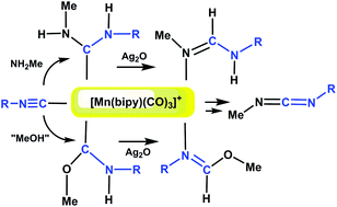 Graphical abstract: Selective formation of formamidines, carbodiimides and formimidates from isocyanide complexes of Mn(i) mediated by Ag2O