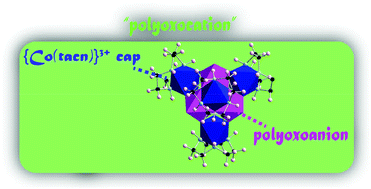 Graphical abstract: Synthesis of cationic molybdenum–cobalt heterometallic clusters protected against hydrolysis by macrocyclic triazacyclononane complexes