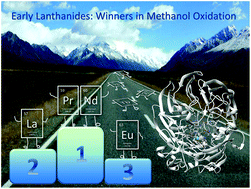 Graphical abstract: Impact of the lanthanide contraction on the activity of a lanthanide-dependent methanol dehydrogenase – a kinetic and DFT study