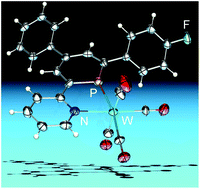 Graphical abstract: Substituent effects in pyridyl-functionalized pyrylium salts, pyridines and λ3,σ2-phosphinines: a fundamental and systematic study