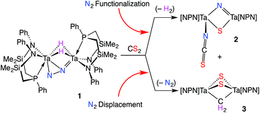Graphical abstract: Dinitrogen functionalization at a ditantalum center. Balancing N2 displacement and N2 functionalization in the reaction of coordinated N2 with CS2