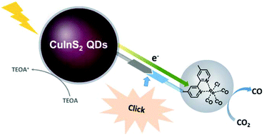 Graphical abstract: Covalently linking CuInS2 quantum dots with a Re catalyst by click reaction for photocatalytic CO2 reduction