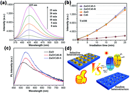 Graphical abstract: Fabrication of selective interface of ZnO/CdS heterostructures for more efficient photocatalytic hydrogen evolution