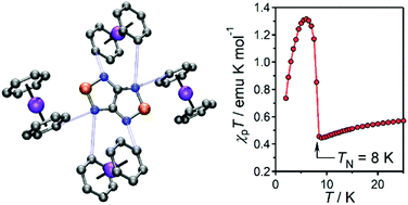 Graphical abstract: 3D molecular network and magnetic ordering, formed by multi-dentate magnetic couplers, bis(benzene)chromium(i) and [1,2,5]thiadiazolo[3,4-c][1,2,5]thiadiazolidyl