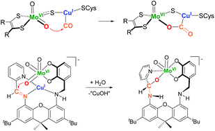 Graphical abstract: Cooperative bimetallic reactivity of a heterodinuclear molybdenum–copper model of Mo–Cu CODH