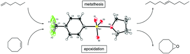 Graphical abstract: Synthesis, characterization and application of organorhenium(vii) trioxides in metathesis reactions and epoxidation catalysis