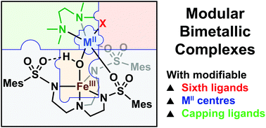 Graphical abstract: Modular bimetallic complexes with a sulfonamido-based ligand