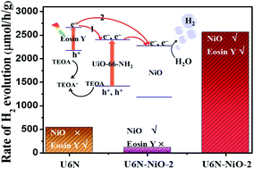 Graphical abstract: Boosting visible-light photocatalytic H2 evolution via UiO-66-NH2 octahedrons decorated with ultrasmall NiO nanoparticles