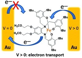 Graphical abstract: Molecular rectifiers based on five-coordinate iron(iii)-containing surfactants