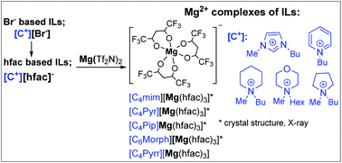 Graphical abstract: Synthesis of magnesium complexes of ionic liquids with highly coordinating anions