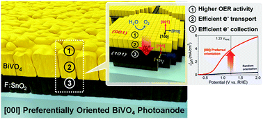 Graphical abstract: Boosting the solar water oxidation performance of a BiVO4 photoanode by crystallographic orientation control