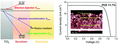 Graphical abstract: Comprehensive control of voltage loss enables 11.7% efficient solid-state dye-sensitized solar cells