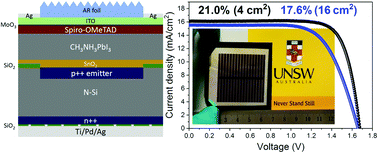 Graphical abstract: Large area efficient interface layer free monolithic perovskite/homo-junction-silicon tandem solar cell with over 20% efficiency