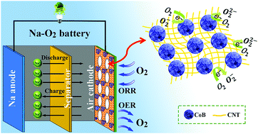 Graphical abstract: Synthesis of porous and metallic CoB nanosheets towards a highly efficient electrocatalyst for rechargeable Na–O2 batteries