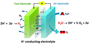 Graphical abstract: Protonic ceramic electrochemical cells for hydrogen production and electricity generation: exceptional reversibility, stability, and demonstrated faradaic efficiency