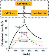 Graphical abstract: Kinetics of Cd(ii) adsorption and desorption on ferrihydrite: experiments and modeling