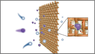 Graphical abstract: Iron oxide nanowire-based filter for inactivation of airborne bacteria