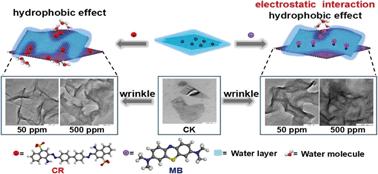 Graphical abstract: Wrinkle-induced high sorption makes few-layered black phosphorus a superior adsorbent for ionic organic compounds