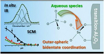 Graphical abstract: Adsorption of selenium(vi) onto nano transition alumina