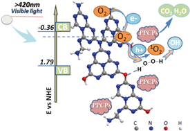 Graphical abstract: A photocatalytic degradation strategy of PPCPs by a heptazine-based CN organic polymer (OCN) under visible light