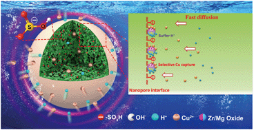 Graphical abstract: Elaborate design of polymeric nanocomposites with Mg(ii)-buffering nanochannels for highly efficient and selective removal of heavy metals from water: case study for Cu(ii)