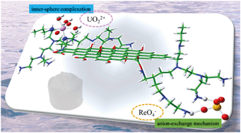 Graphical abstract: Simultaneous elimination of cationic uranium(vi) and anionic rhenium(vii) by graphene oxide–poly(ethyleneimine) macrostructures: a batch, XPS, EXAFS, and DFT combined study