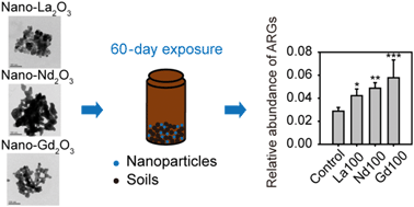 Graphical abstract: Rare earth oxide nanoparticles promote soil microbial antibiotic resistance by selectively enriching antibiotic resistance genes