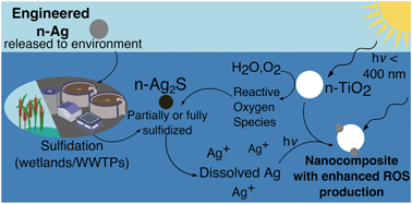 Graphical abstract: Photochemical interactions between n-Ag2S and n-TiO2 amplify their bacterial stress response