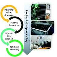 Graphical abstract: Biological leaching of metal contaminated substrates from a passive bioreactor treating mine drainage