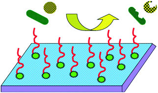 Graphical abstract: Antibacterial polymeric membranes: a short review
