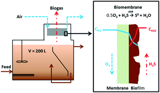 Graphical abstract: Microaeration through a biomembrane for biogas desulfurization: lab-scale and pilot-scale experiences