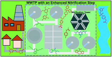 Graphical abstract: Emerging investigators series: occurrence and fate of emerging organic contaminants in wastewater treatment plants with an enhanced nitrification step