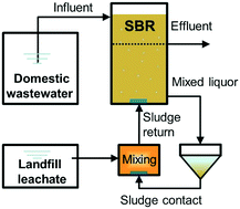 Graphical abstract: Effect of blending landfill leachate with activated sludge on the domestic wastewater treatment process